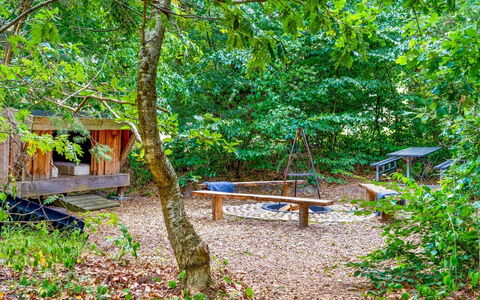 Adam - from the Sea: Boom, Natuur, Natuurlijke Omgeving, Blad, Hout, Woud, Plantengemeenschap, Bos, Natuurgebied