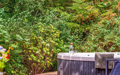 Adam - from the Sea: Struik, Bad, Tuin, Buitenmeubels, Jacuzzi, Landscaping, Backyard, Zwembad, Loodgieterswerkinrichting