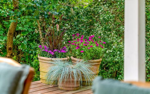 Adam - from the Sea: Groen, Bloempot, Struik, Tuin, De Lente, Kamerplant, Beits, Hardwood, Plank