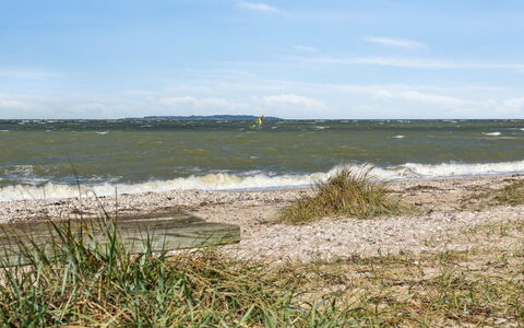 Awenita - 50M to the Fjord: Gras, Grasland, Landschap, Ecoregio, Plain, Plantengemeenschap, Land Lot, Buitenmeubels, Prairie, Shrubland