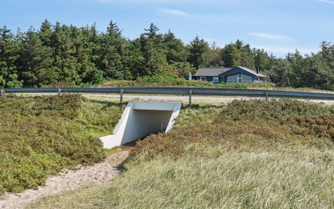 Awenita - 50M to the Fjord: Gras, Grasland, Landschap, Ecoregio, Plain, Plantengemeenschap, Land Lot, Buitenmeubels, Prairie, Shrubland