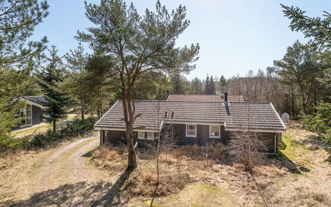 Sighbiorn - 950M from the Sea: Blauw, Struik, Verblijf, Groundcover, Tuin, Landgoed, Schaduw, Landscaping, Boerderij, Eco Hotel