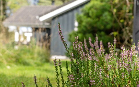 Grimi - 4Km from the Sea: Verblijf, Huis, Huis, Dak, Veranda, Landgoed, Siding, Garden Gebouwen, Boerderij, Werf