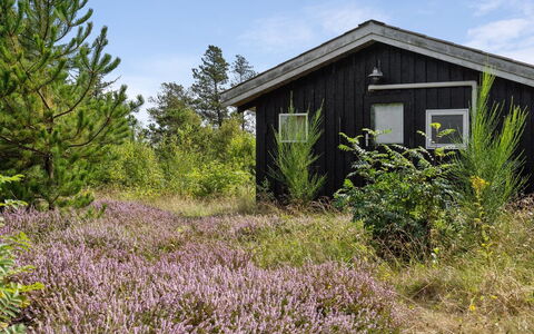 Asmo - 350M from the Sea: Blauw, Struik, Verblijf, Groundcover, Tuin, Landgoed, Schaduw, Landscaping, Boerderij, Eco Hotel