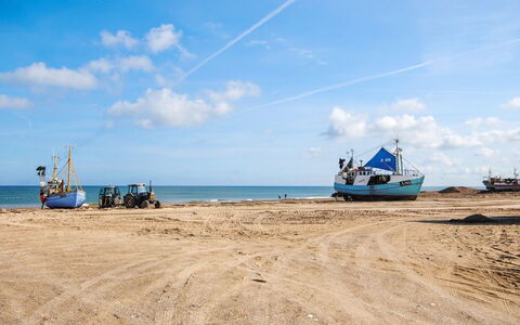 Asmo - 350M from the Sea: Blauw, Struik, Verblijf, Groundcover, Tuin, Landgoed, Schaduw, Landscaping, Boerderij, Eco Hotel