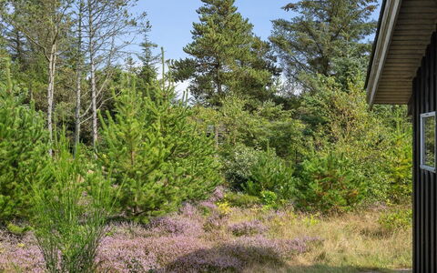 Asmo - 350M from the Sea: Blauw, Struik, Verblijf, Groundcover, Tuin, Landgoed, Schaduw, Landscaping, Boerderij, Eco Hotel