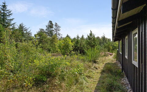 Asmo - 350M from the Sea: Blauw, Struik, Verblijf, Groundcover, Tuin, Landgoed, Schaduw, Landscaping, Boerderij, Eco Hotel