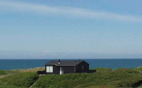Skade - 75M from the Sea: Huis, Huis, Deur, Dak, Verblijf, Landgoed, Tuin, Schaduw, Siding, Werf