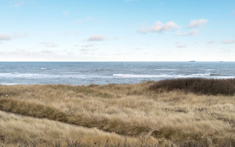 Skade - 75M from the Sea: Huis, Huis, Deur, Dak, Verblijf, Landgoed, Tuin, Schaduw, Siding, Werf