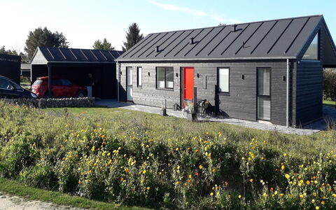 Luci - 500M from the Sea: Huis, Huis, Deur, Dak, Verblijf, Landgoed, Tuin, Schaduw, Siding, Werf