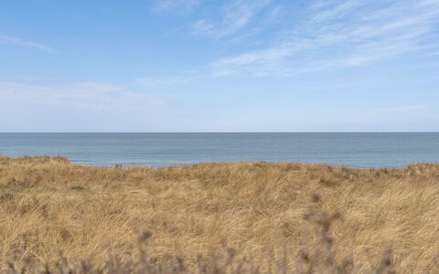 Jace - 75M from the Sea: Meubilair, Interieur Ontwerp, Flooring, Hout, Verdieping, Plafond, Houten Vloer, Stoel, Tafel, Verlichting