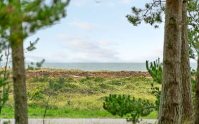 Asmod - 300M from the Sea