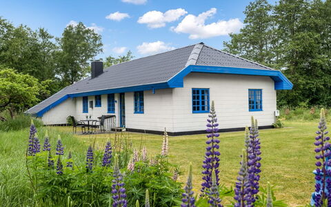 Ema - 5Km from the Sea: Hout, Huis, Veranda, Dek, Hardwood, Dak, Beits, Houten Vloer, Eco Hotel