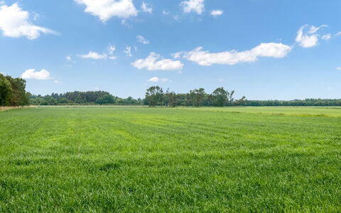 Ema - 5Km from the Sea: Hout, Huis, Veranda, Dek, Hardwood, Dak, Beits, Houten Vloer, Eco Hotel