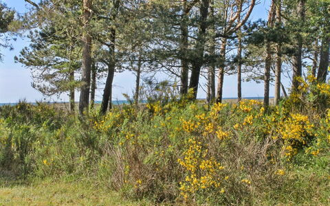 Hatem - 200M from the Sea: Hout, Huis, Veranda, Dek, Hardwood, Dak, Beits, Houten Vloer, Eco Hotel
