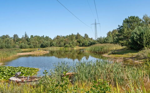 Harthe - 800M from the Sea: Zwembad, Buitenmeubels, Meubilair, Toevlucht, Flagstone, Eco Hotel, Schaduw, Stoel, Vrije Tijd, Landgoed