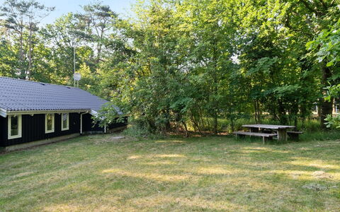 Lovis - 600M from the Sea: Gras, Boom, Land Lot, Landelijk Gebied, Schaduw, Tuin, Groundcover, Gazon, Verblijf, Backyard
