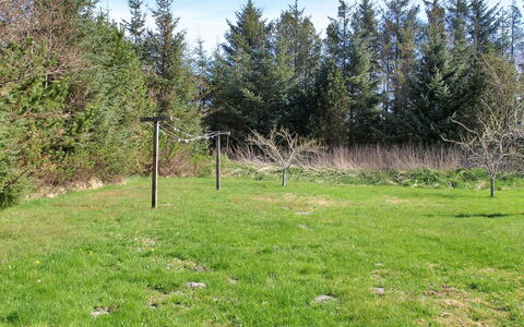 Eljena - 600M from the Sea: Gras, Grasland, Plain, Land Lot, Pasture, Weide, Lariks, Veld, Gazon