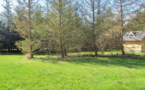 Eljena - 600M from the Sea: Boom, Blad, Lariks, Woody Plant, Weide, Pasture, Bos, Gazon