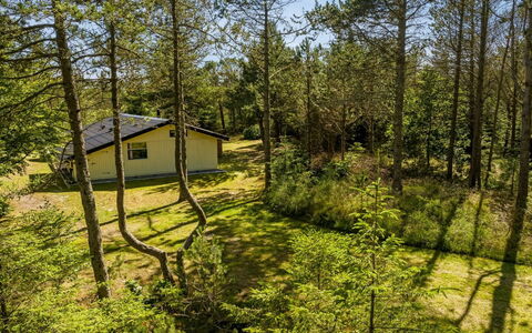 Hakan - 4Km from the Sea: Blauw, Struik, Verblijf, Groundcover, Tuin, Landgoed, Schaduw, Landscaping, Boerderij, Eco Hotel