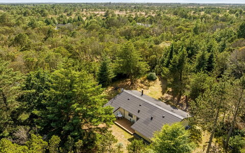 Hakan - 4Km from the Sea: Blauw, Struik, Verblijf, Groundcover, Tuin, Landgoed, Schaduw, Landscaping, Boerderij, Eco Hotel