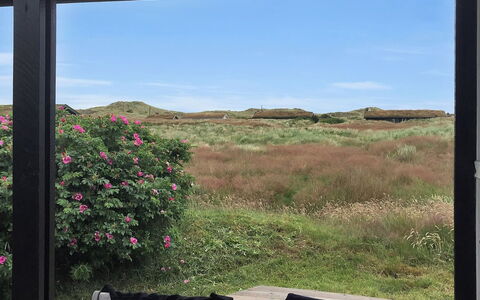 Gerulf - 600M from the Sea: Blauw, Struik, Verblijf, Groundcover, Tuin, Landgoed, Schaduw, Landscaping, Boerderij, Eco Hotel