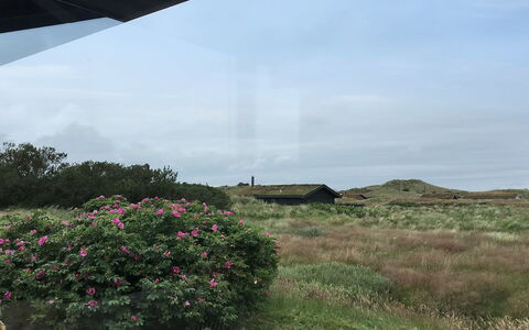 Gerulf - 600M from the Sea: Blauw, Struik, Verblijf, Groundcover, Tuin, Landgoed, Schaduw, Landscaping, Boerderij, Eco Hotel