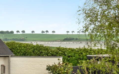 Jenny - 140M from the Sea: Struik, Landschap, Land Lot, Verblijf, Tuin, Landscaping, Plantage, Gazon, Haag