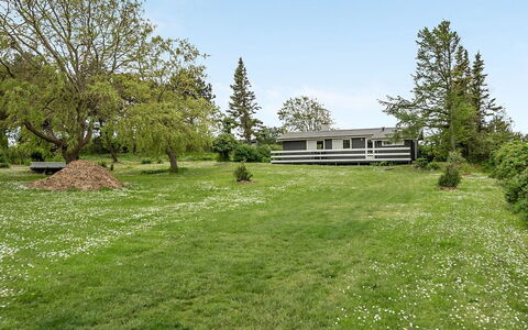 Jenny - 140M from the Sea: Gras, Boom, Grasland, Struik, Plain, Land Lot, Huis, Landelijk Gebied
