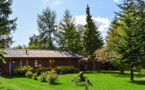 Hubertina - 30Km from the Sea: Boom, Gras, Huis, Struik, Verblijf, Huis, Dak, Tuin, Land Lot