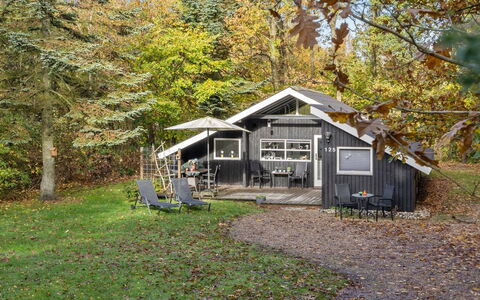 Elisabeta - 28Km from the Sea: Dak, Huis, Huis, Verblijf, Deur, Siding, Dek, Veranda, Plank, Hardwood