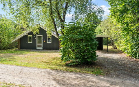 Pance - 20Km to the Fjord: Dak, Huis, Huis, Verblijf, Deur, Siding, Dek, Veranda, Plank, Hardwood