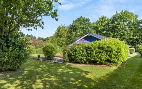 Athislus - 30Km from the Sea: Boom, Gras, Struik, Tuin, Verblijf, Land Lot, Gazon, Groundcover