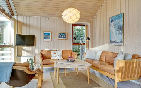 Swarte - 30Km from the Sea: Meubilair, Interieur Ontwerp, Flooring, Hout, Verdieping, Plafond, Bankstel, Woonkamer, Verlichting, Kamer