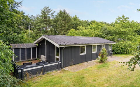 Massie - 30Km from the Sea: Verblijf, Huis, Huis, Dak, Veranda, Landgoed, Siding, Garden Gebouwen, Boerderij, Werf
