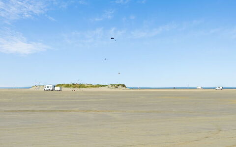 Apostol - 500M from the Sea: Blauw, Struik, Verblijf, Groundcover, Tuin, Landgoed, Schaduw, Landscaping, Boerderij, Eco Hotel