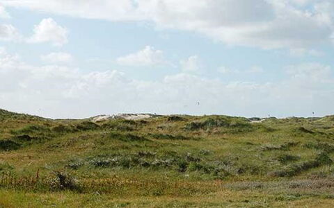 Apostol - 500M from the Sea: Blauw, Struik, Verblijf, Groundcover, Tuin, Landgoed, Schaduw, Landscaping, Boerderij, Eco Hotel