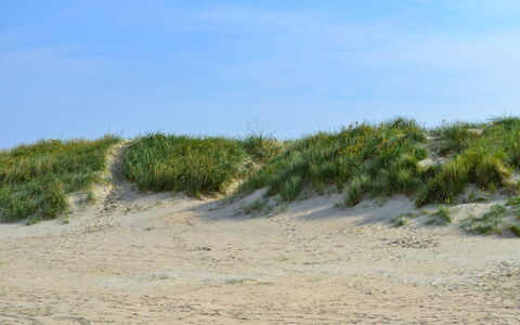 Arian - 500M from the Sea: Water, Waterweg, Kanaal, Boot, Watercraft, Kust En Oceanic Landvormen, Zee, Dok, Kust, Jachthaven