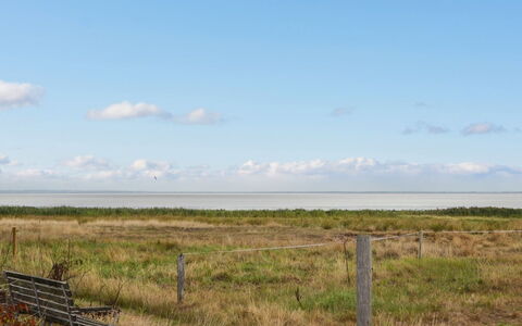 Baltser - 5Km from the Sea: Blauw, Struik, Verblijf, Groundcover, Tuin, Landgoed, Schaduw, Landscaping, Boerderij, Eco Hotel