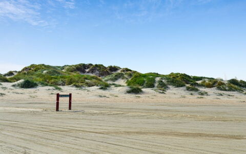 Guder - 500M from the Sea: Dak, Huis, Land Lot, Huis, Verblijf, Landgoed, Garden Gebouwen, Schaduw, Blokhut, Landscaping