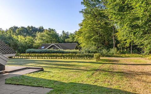 Leonard - 30Km from the Sea: Boom, Groen, Gras, Blad, Struik, Tuin, Landschap, Land Lot, Groundcover, Gazon