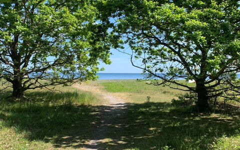 Lelle - 350M from the Sea: Zwembad, Buitenmeubels, Meubilair, Toevlucht, Flagstone, Eco Hotel, Schaduw, Stoel, Vrije Tijd, Landgoed