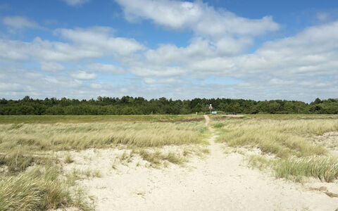 Hughe - 300M from the Sea: Dak, Huis, Huis, Verblijf, Deur, Siding, Dek, Veranda, Plank, Hardwood