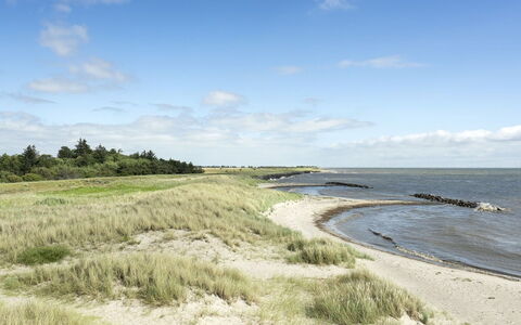 Hughe - 300M from the Sea: Dak, Huis, Huis, Verblijf, Deur, Siding, Dek, Veranda, Plank, Hardwood
