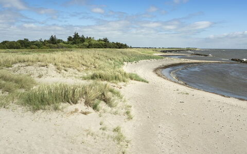 Lottje - 300M from the Sea: Zwembad, Buitenmeubels, Meubilair, Toevlucht, Flagstone, Eco Hotel, Schaduw, Stoel, Vrije Tijd, Landgoed