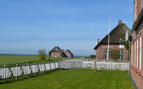 Adine - 13Km from the Sea: Blauw, Struik, Verblijf, Groundcover, Tuin, Landgoed, Schaduw, Landscaping, Boerderij, Eco Hotel