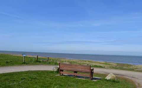Adine - 13Km from the Sea: Blauw, Struik, Verblijf, Groundcover, Tuin, Landgoed, Schaduw, Landscaping, Boerderij, Eco Hotel
