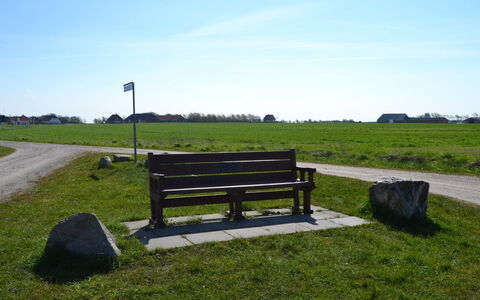 Adine - 13Km from the Sea: Blauw, Struik, Verblijf, Groundcover, Tuin, Landgoed, Schaduw, Landscaping, Boerderij, Eco Hotel