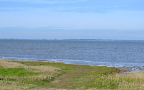 Adine - 13Km from the Sea: Blauw, Struik, Verblijf, Groundcover, Tuin, Landgoed, Schaduw, Landscaping, Boerderij, Eco Hotel