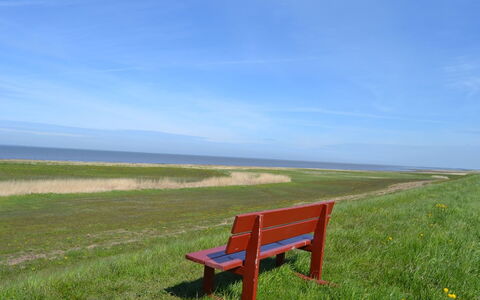 Adine - 13Km from the Sea: Blauw, Struik, Verblijf, Groundcover, Tuin, Landgoed, Schaduw, Landscaping, Boerderij, Eco Hotel